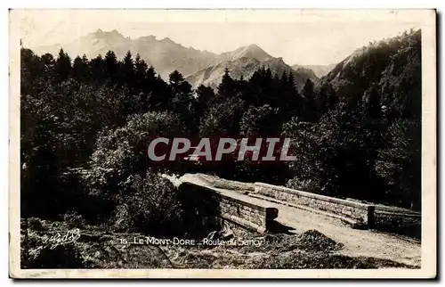 Le Mont Dore - Route du Sancy - Ansichtskarte AK