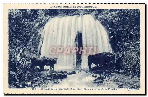 Environs de la Bourboule et le Mont Dore Cascade de la Verniere - boeuf - bull - Ansichtskarte AK