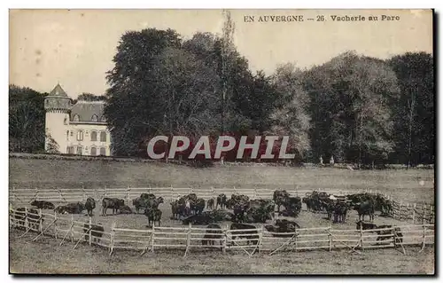 En Auvergne - Vacherie au Parc - Vache - cow - Cartes postales