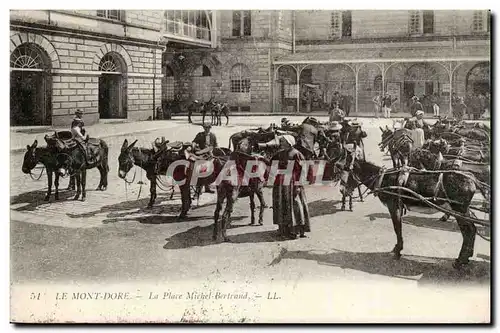 Le Mont Dore Ansichtskarte AK La place Michel Bertrand (ane donkey mule) TOP