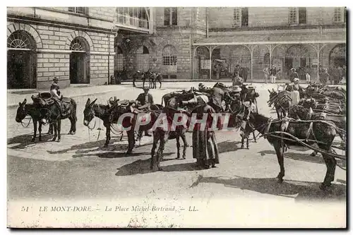 Le Mont Dore Cartes postales La place Michel Bertrand (ane donkey mule) TOP