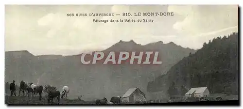 Le Mont Dore - Paturage dans la Vallee du sancy - taureau - buls - Ansichtskarte AK