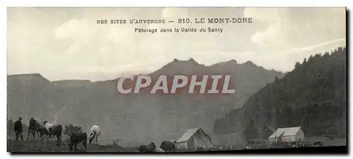 Le Mont Dore - Paturage dans la Vallee du sancy - taureau - buls - Cartes postales