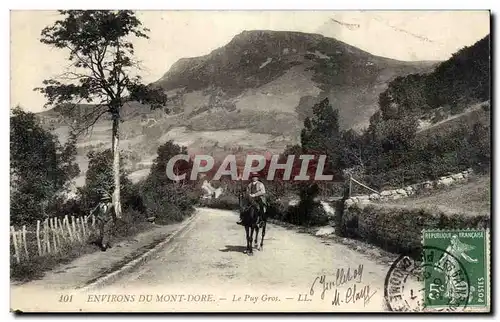 Le Mont Dore - Le Puy Gros - cheval - horse - Ansichtskarte AK