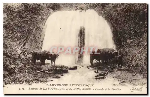 Environs de la Bourboule et du Mont Dore Cascade de la Verniere - - Ansichtskarte AK