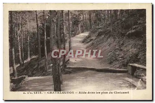 Chatelguyon - Allee dans les plus du Chalusset - Cartes postales