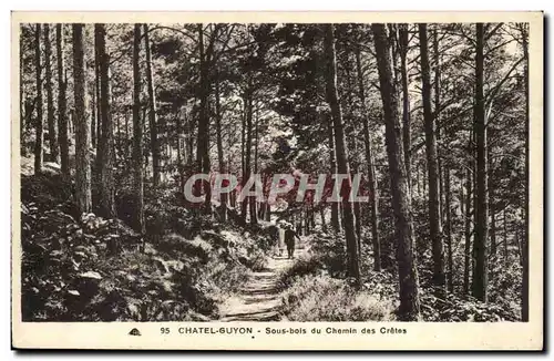 chatel Guyon Ansichtskarte AK Sous bois du chemin des Cretes