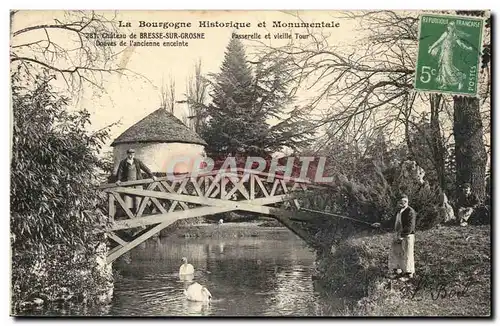 Cartes postales Chateau de Bresse sur GRosne Passerelle et vieille tour