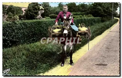 Costumes normands Cartes postales Laitiere du Bessin (ane donley)