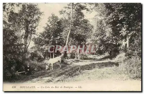 Houlgate Cartes postales Un coin du bois de Boulogne (cheval et homme)