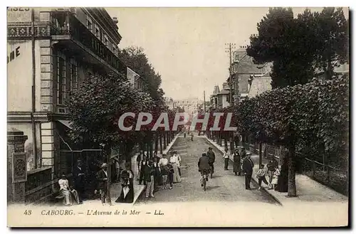 Cabourg Cartes postales L&#39avenue de la mer