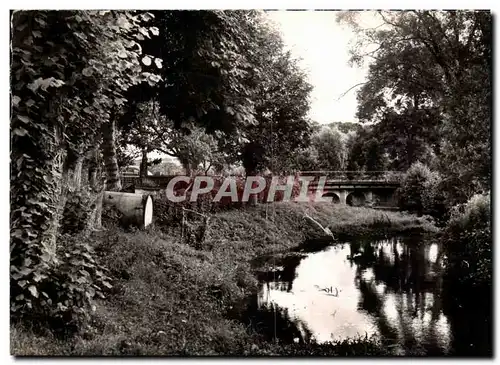 Saint pierre sur Dives Cartes postales moderne Pont sur la Dives