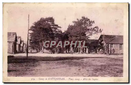 Coetquidan Cartes postales Vieux camp Allee des sapins