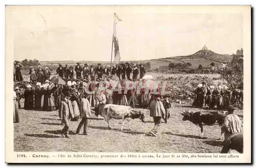 Carnac Cartes postales Fete de Saint Cornely protecteur des betes a cornes Le jour de sa fete des bestiaux lui s