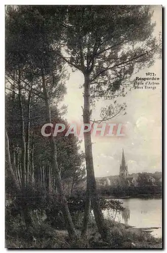 Rosporden Ansichtskarte AK Etude d&#39arbres aux etangs