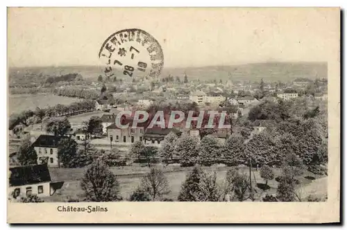 Cartes postales Chaetau SAlins