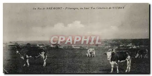 Ansichtskarte AK en bas de Bremont Paturages au fond Vue generale de Vitrey (vaches)