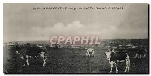 Cartes postales en bas de Bremont Paturages au fond Vue generale de Vitrey (vaches)