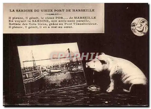 Marseille Cartes postales La sardine du vieux port de Marseille (cochon pig)