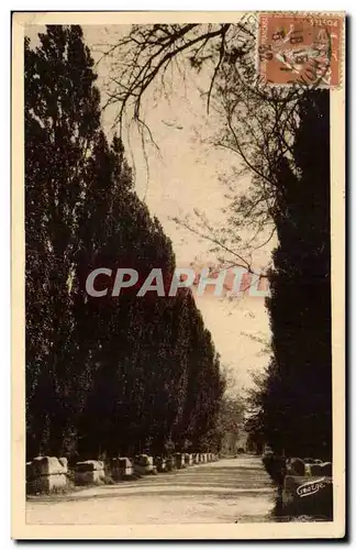 Arles - Les Alyscamps - Allee des Tombeaux - Cartes postales