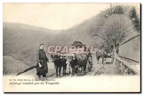 Boeufs - Attelage conduit par un Trappiste - beautiful card - cows -- Cartes postales