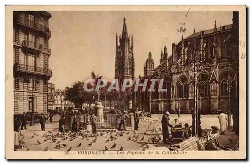 Bordeaux - Les Pigeons de la Catherale - Cartes postales