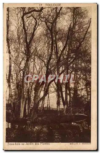 Toulouse Ansichtskarte AK Sous bois du jardin des plantes