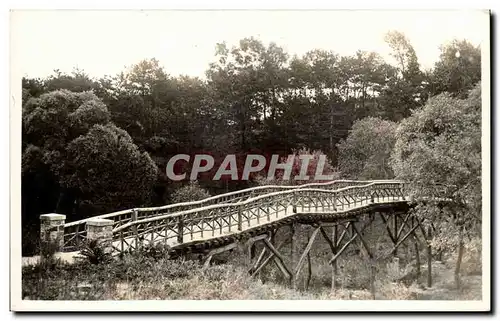 CARTE PHOTO peita