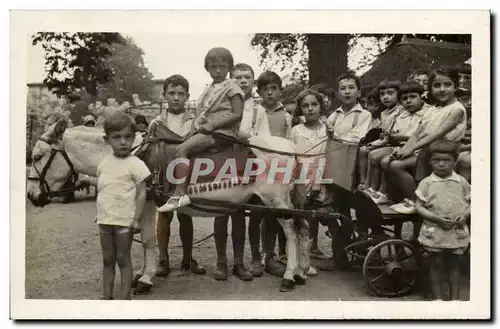 CARTE PHOTO Enfants et ane (donkey mule)