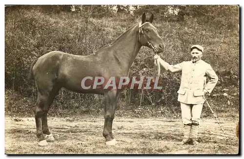 CARTE PHOTO Militaria soldat et cheval