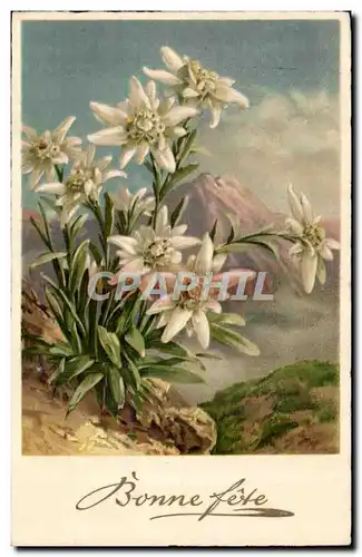 Fantaisie - Fete - Fleur - Bonne Fete - Cartes postales - Cartes postales
