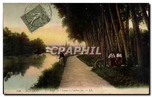 Auxerre Cartes postales Les bords de l&#39Yonne a l&#39arbre sec