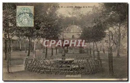 Algerie Alger Cartes postales Bosquet de la reine