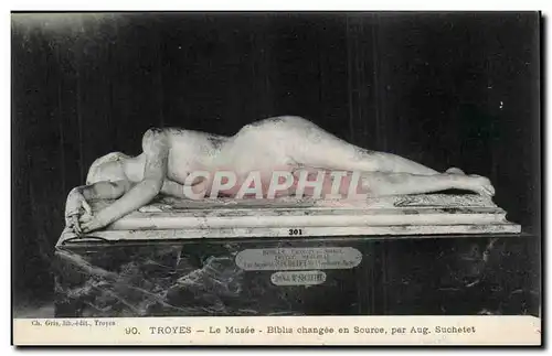 TRoyes Cartes postales Le musee Biblis changee en Source par Suchelet