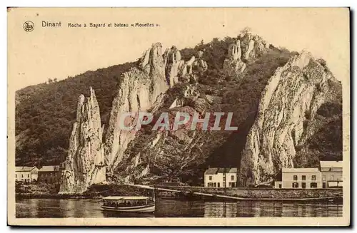 Belgie Belgique Ansichtskarte AK Dinant Roche a Bayard et bateau Mouettes