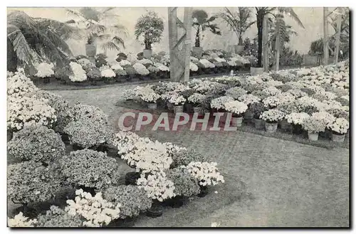 Belgie Belgique Cartes postales Gand 1913 Floralies Gantoises