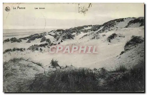 Ansichtskarte AK Belgique La Panne Les dunes