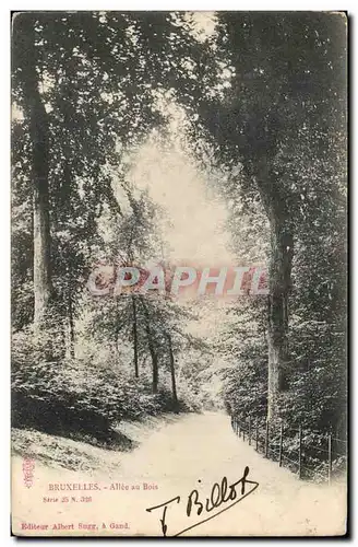 Cartes postales Belgique Bruxelles Allee au bois