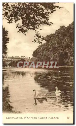 Grande Bretagne Great Britain Cartes postales Longwater Hampton Court palace (cygnes swan)