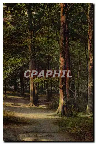 Grande Bretagne Cartes postales Croydon Groham Hurst arbre tree)