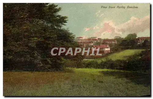 Grande Bretagne Great BRitain Cartes postales View from Purley Beeches