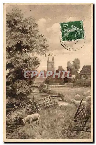 Animaux - Mouton - Sheep - Scharfe - Ansichtskarte AK