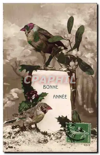 Animaux - Oiseaux - Houx - Holly - Bonne Annee Ansichtskarte AK