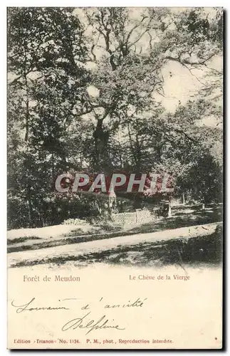 Cartes postales Foret de Meudon Le chene de la vierge (tree arbre)