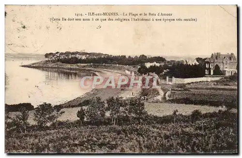 Iles aux moines Ansichtskarte AK La plage et le bois d&#39amour