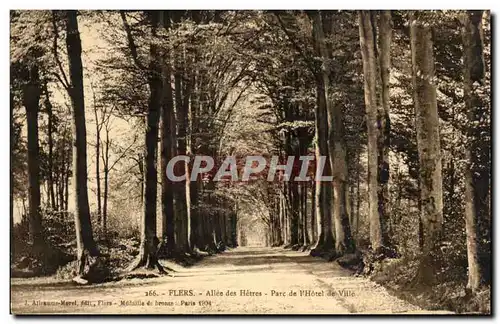 Flers - Alee au Hetres - Parc de Hotel de Ville - Cartes postales