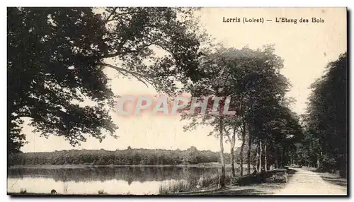 Lorris Cartes postales L&#39etang des bois