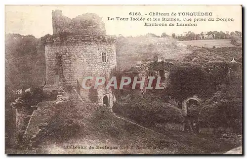 Cartes postales Chateau de Tonquedec La tour isolee et les ruines vue prise du donjon Environs de Lannion