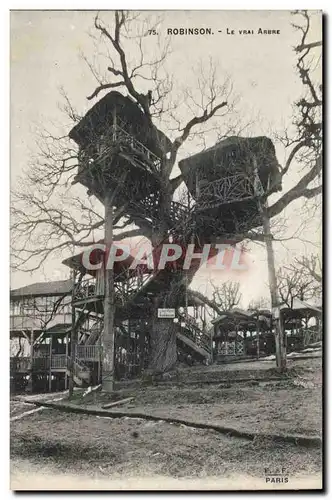 Robinson Cartes postales Le vrai arbre