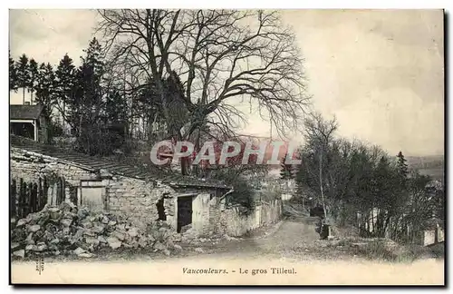 VAucouleurs Cartes postales Le gros tilleul (arbre tree)